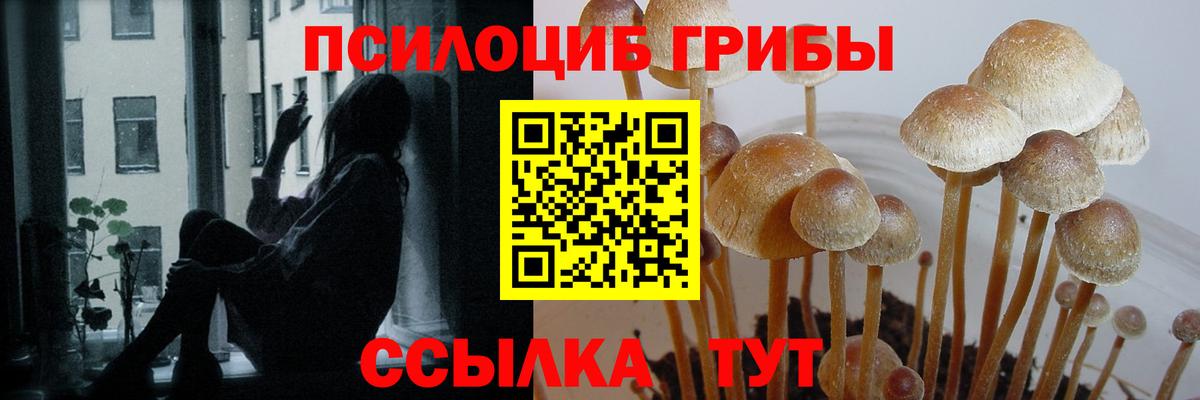Кисловодск  Галлюциногенные грибы мицелий  Вход с VPN 