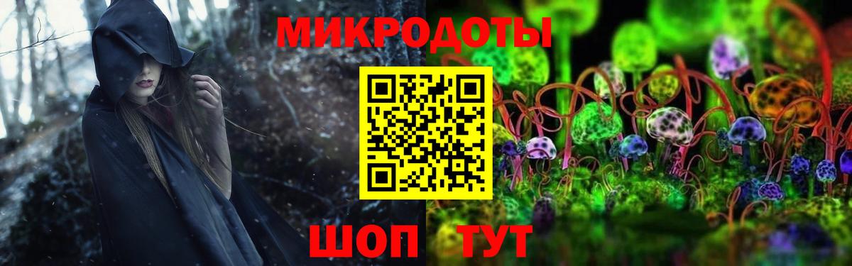 Псилоцибиновые грибы GOLDEN TEACHER Кисловодск