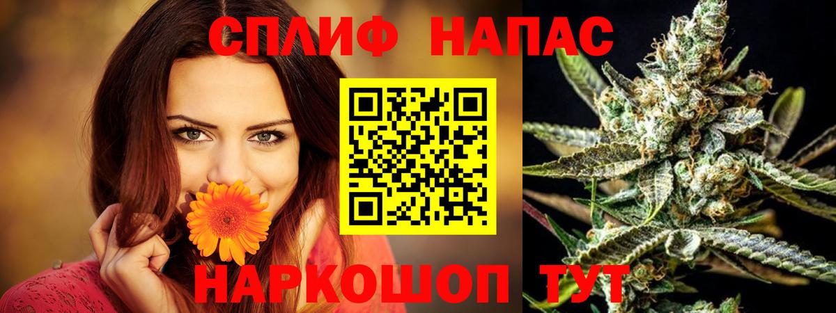 Канабис MAZAR Кисловодск